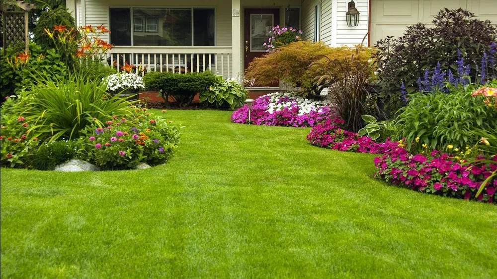 NSF India Gardening Services