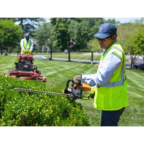 Garden Maintenance Work