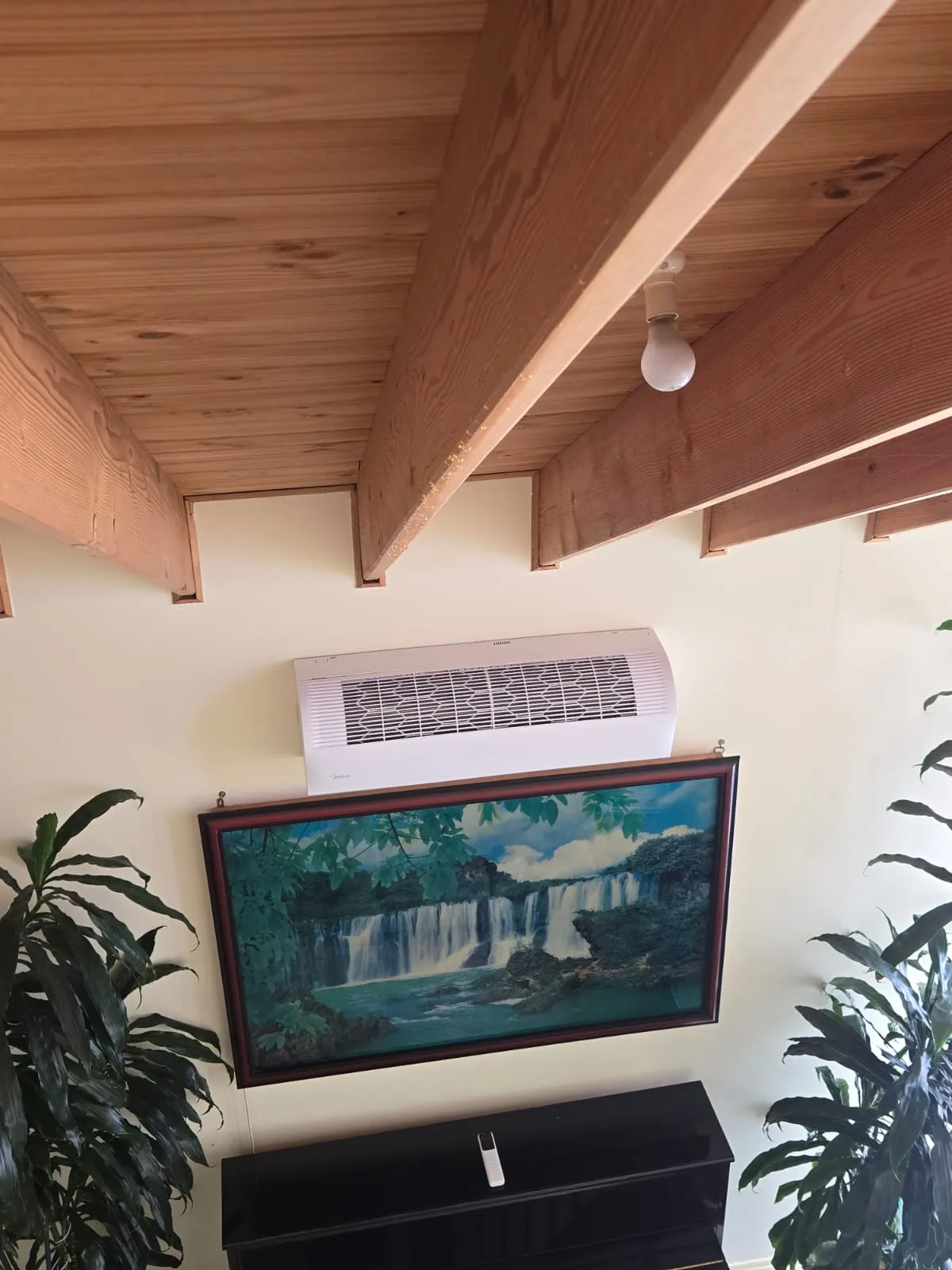 Eco-Friendly Energy Audit