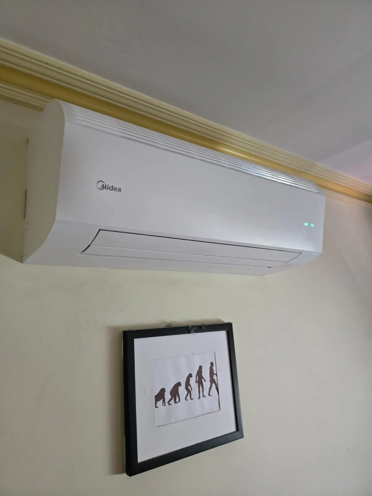 Professional Duct Cleaning