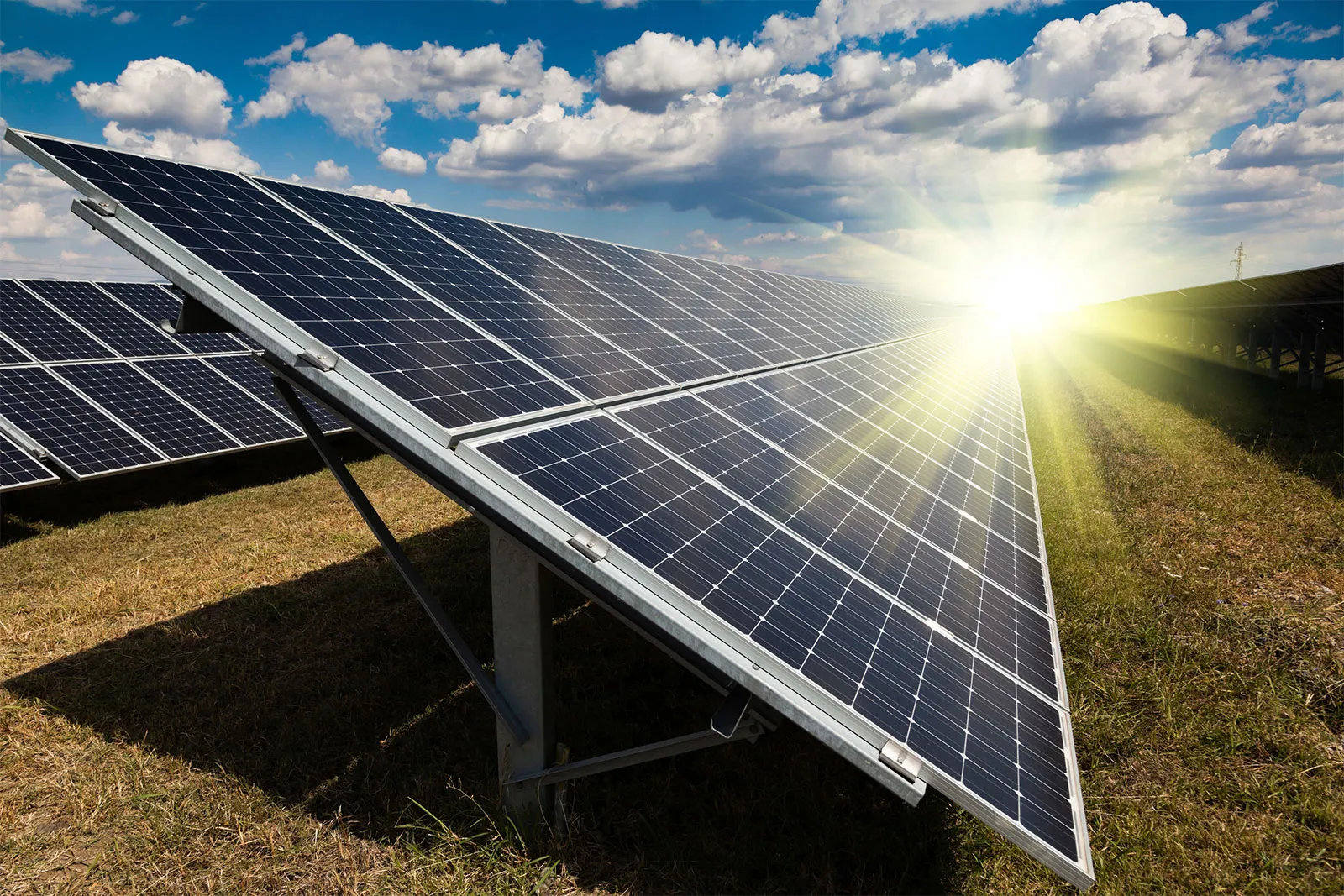 Investing in Solar Energy: Choosing CureGreen for Your Solar Panel Needs