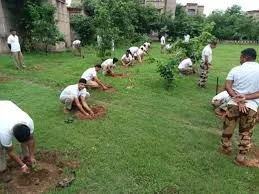 Garden Maintenance Work